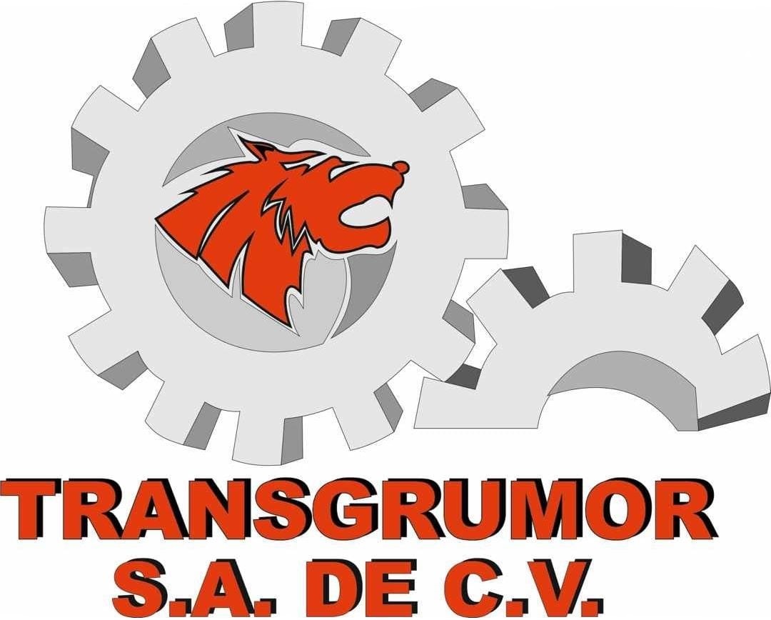 gruas industriales transgrumor